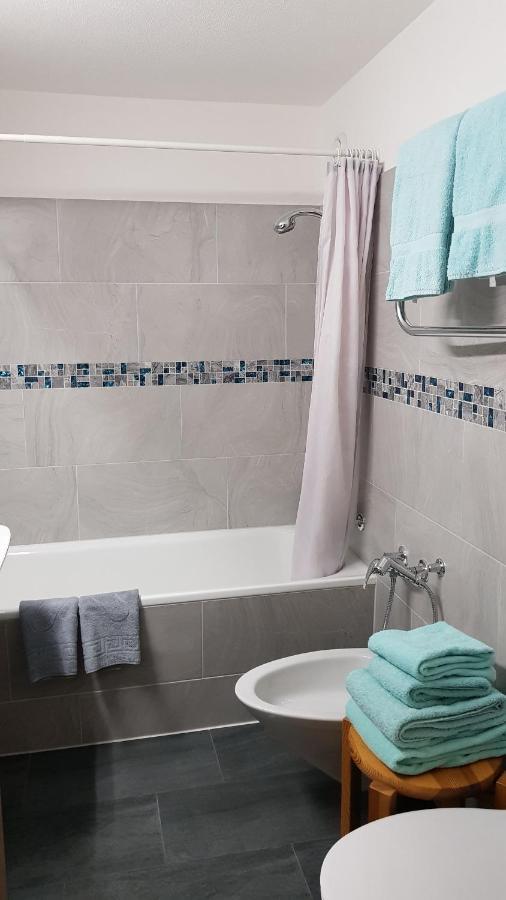 Holiday Accommodation - Swimming Pool Available Davos Luaran gambar